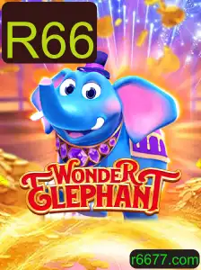 Descubra o Mundo de WonderElephant: O Jogo Revolucionário de R66